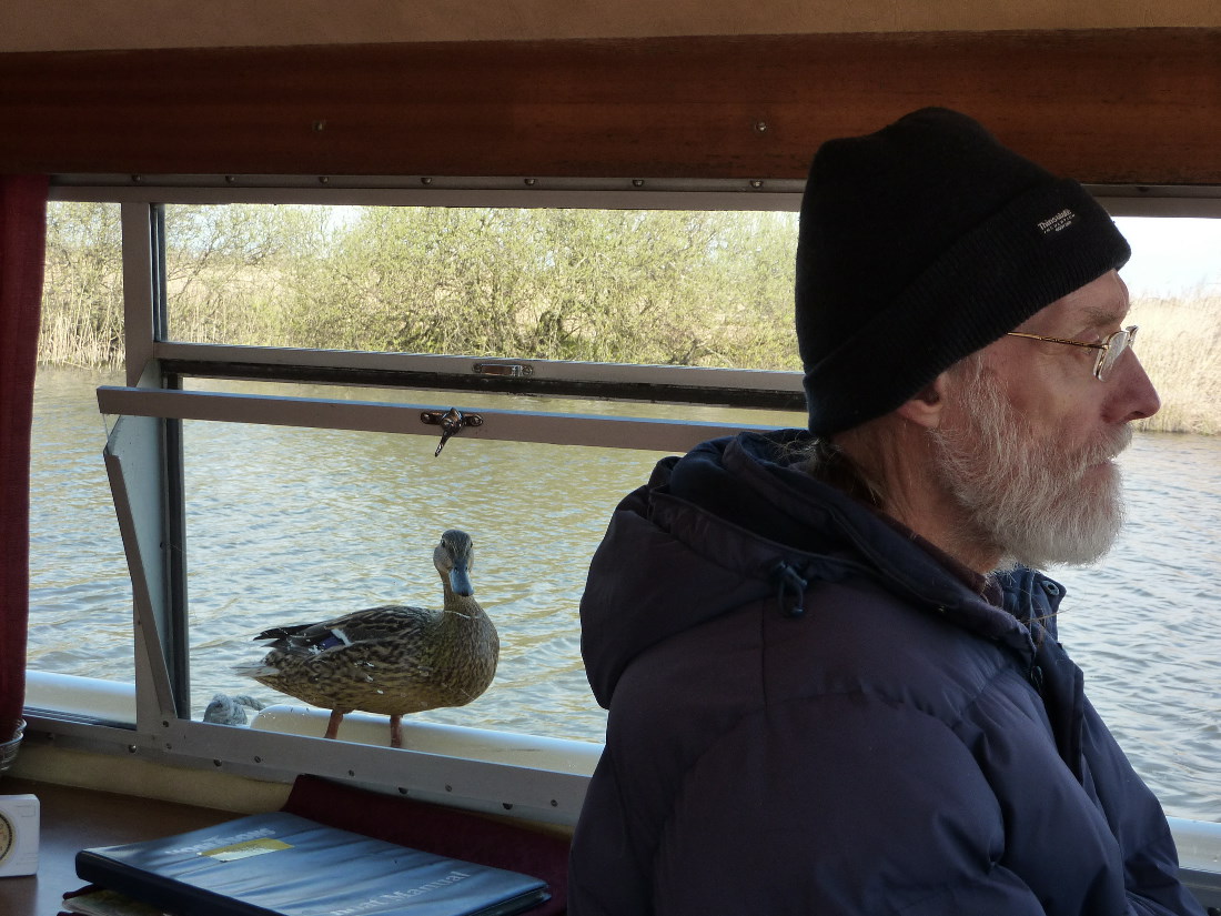 Driving a boat on the Broads