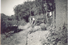 Normandy Avenue Garden 1952