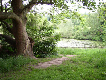 Hampstead Heath 19