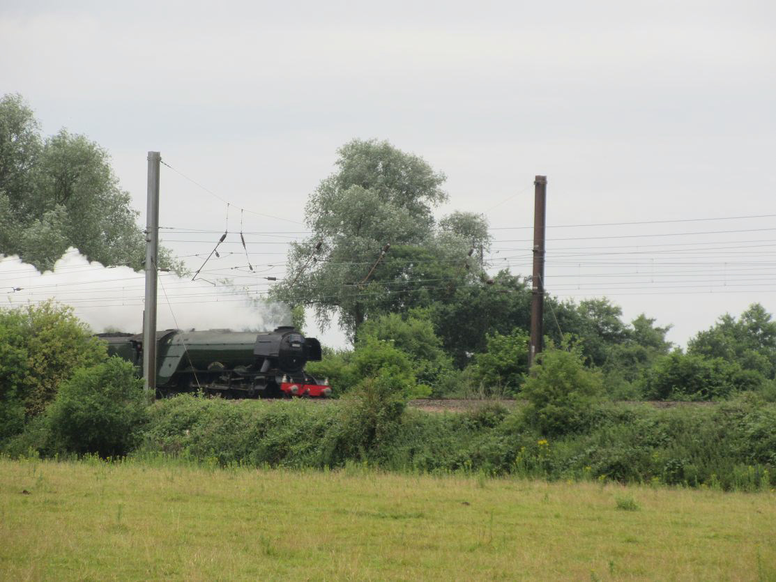Wider World: Flying Scotsman at Welham Green, July 1, 2017