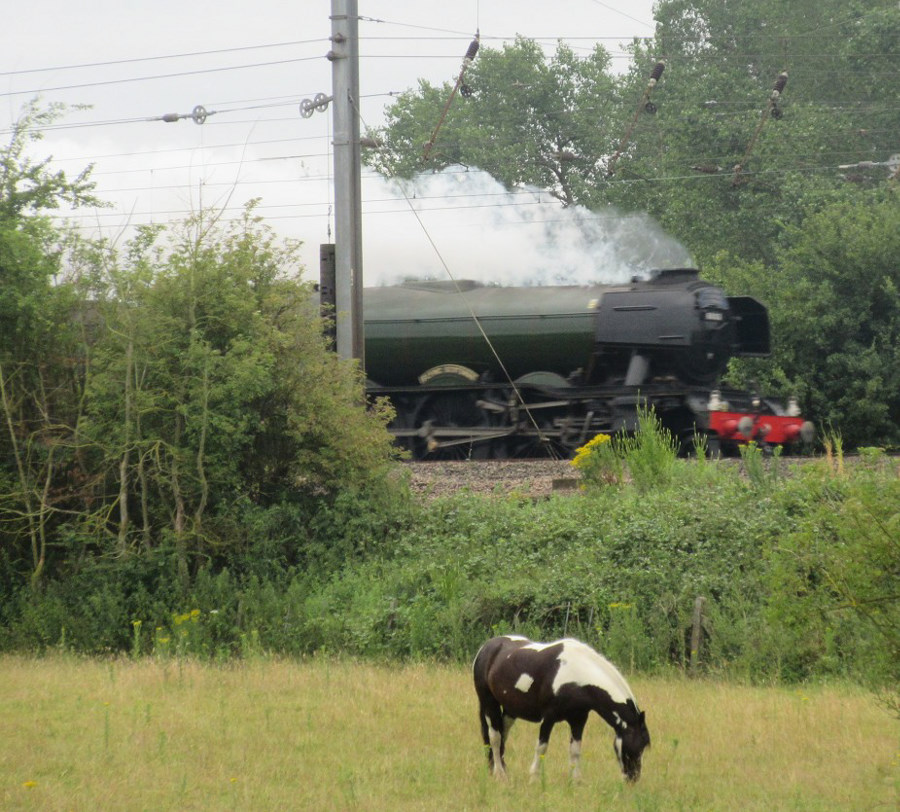 Wider World: Flying Scotsman at Welham Green, July 1, 2017