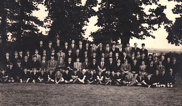 Stapylton 1953